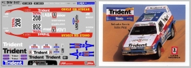 Набор декалей лада спорт Trident - вариант 1 - 100х70 мм. 1:43