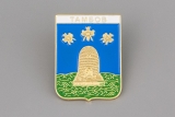 Значок - Герб города ТАМБОВ