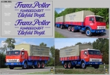 Набор декалей Транспортная компания Franz Poller - 100х70 мм. 1:43